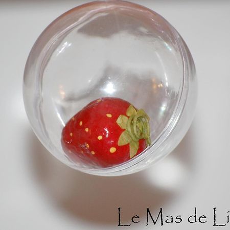 Maison D'Hotes Le Mas De Lila Вер Пон дю Гар Екстериор снимка